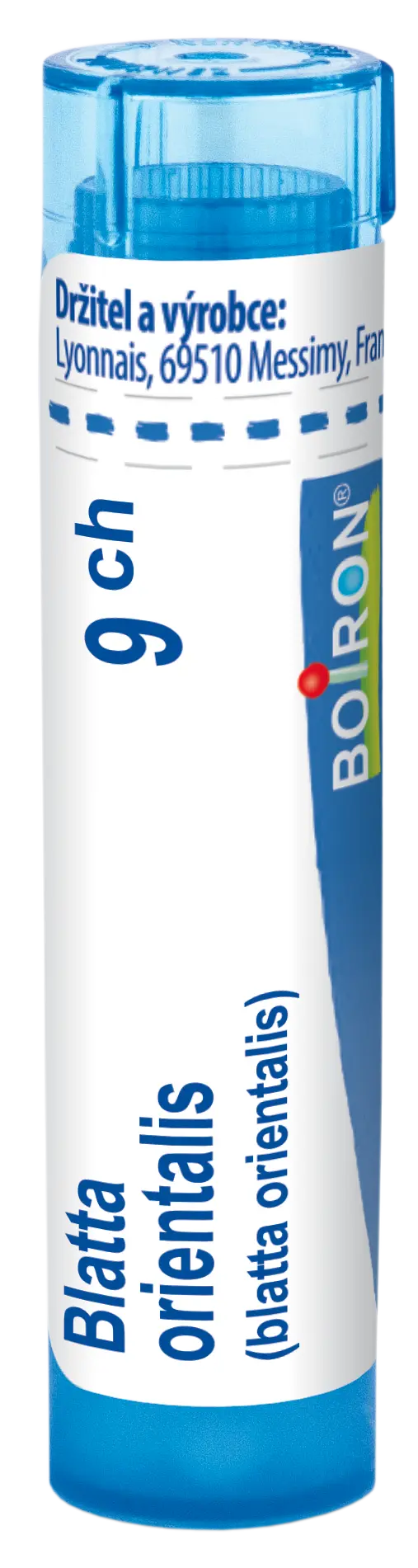 10768_BLATTA ORIENTALIS 9